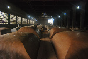 �o�ݻ��A�����a�S